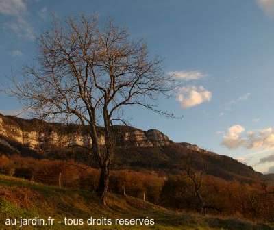 Derniers rayons sur les Bauges