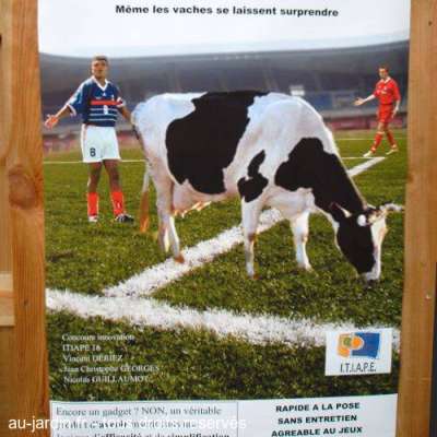 Pub vache