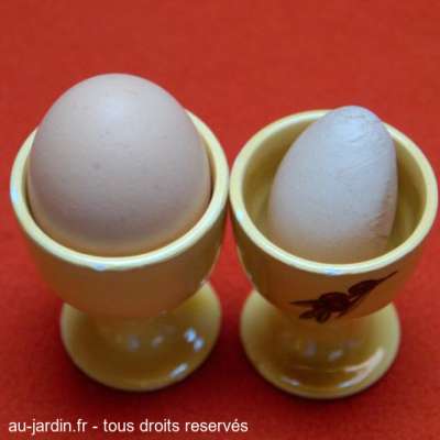 œufs de poule non certifié ISO9000