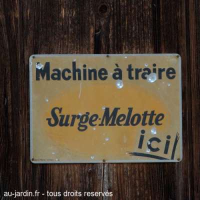 Machine à traire
