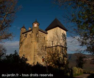Fésigny Château