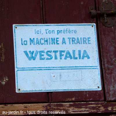 Machine à traire haute savoyarde