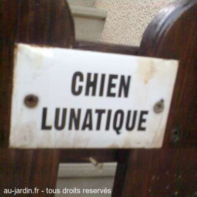 C'est pas net