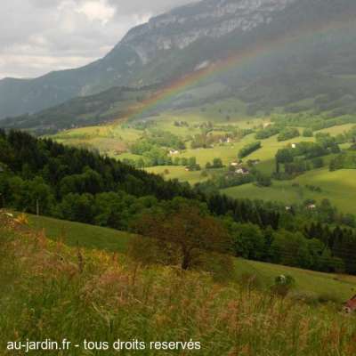 Arc en ciel en Chartreuse