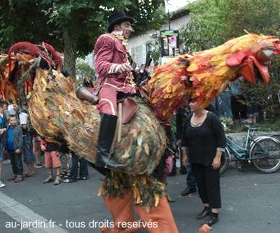 Poule aprivoisée du Cantal