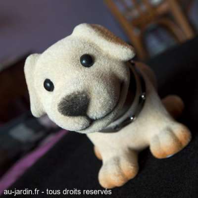 Chien en vadrouille