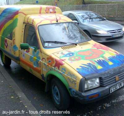 Une fleur qui cache la voiture.