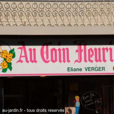 Au coin fleuri à Morestrel dans l'Ain