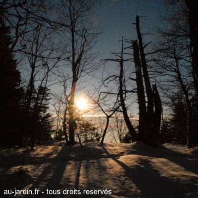 A deux pas du col du Pertuiset au Mont Revard