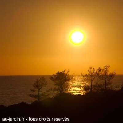 Coucher de soleil sur la Anse de Minaccia en Corse