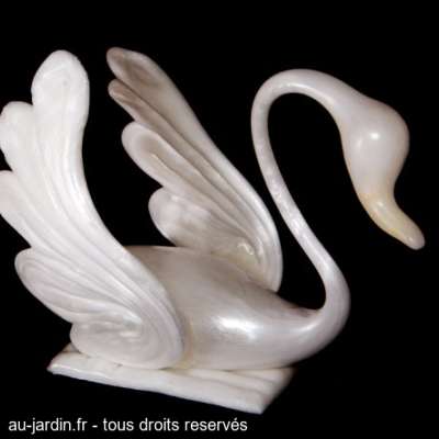 Cygne pur sucre