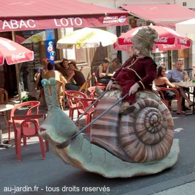 Escargot du Cantal bien dressé