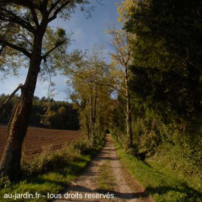 Au bout du chemin