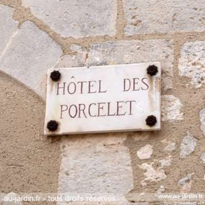 Porcherie de luxe aux Baux de Provence