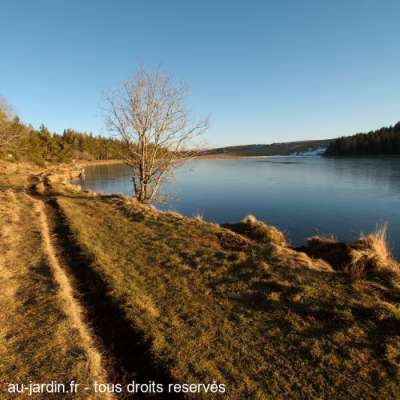 Le lac de Servières encore...