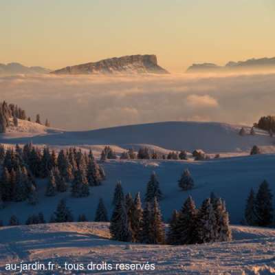 Au loin, le Margériaz vu du Semnoz au coucher du soleil.