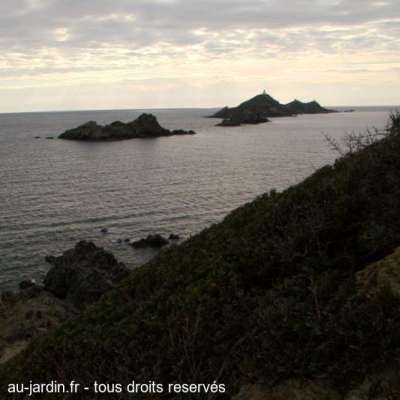 Les îles Sanguinaires, un jour de pluie