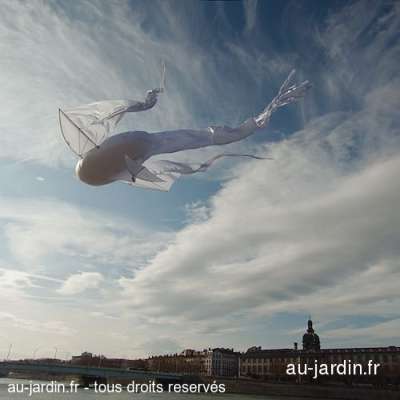 Poisson volant dans le ciel de Lyon