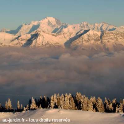 Le Mont-Blanc vu du Semnoz dans les Bauges