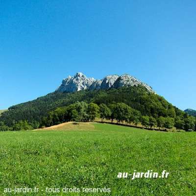 Une montagne des Bauges.