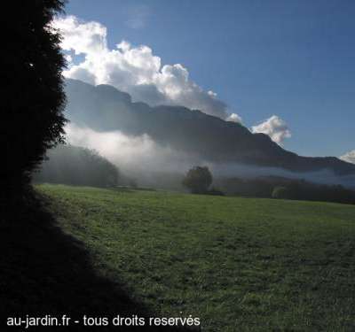 L'orée du bois au pied du Mont Revard