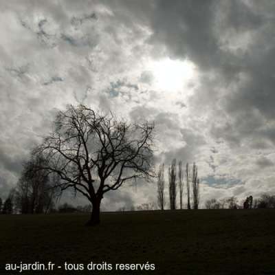 Jour de printemps sur Buisson Rond à Chambéry