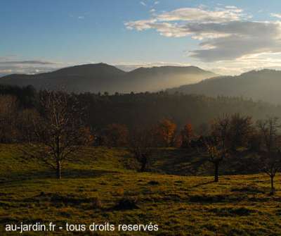 Eclaircies sur le Tanargue en Ardèche