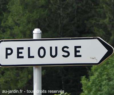 Belle pelouse