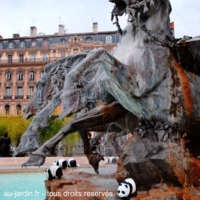 Pendas se baignant à Lyon