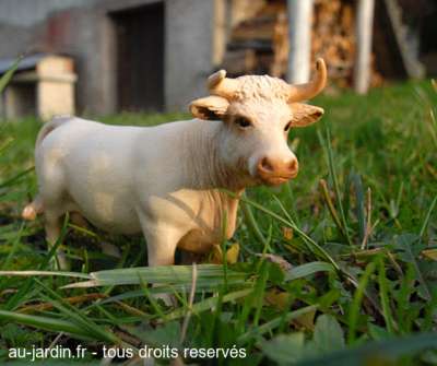 Un taureau dans le jardin de Jean-Noël