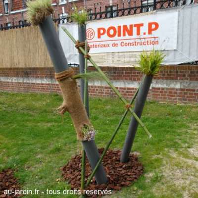 La nature selon Point P