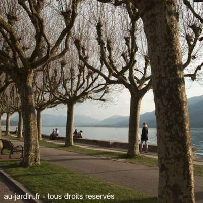 sur le port d'Aix les Bains