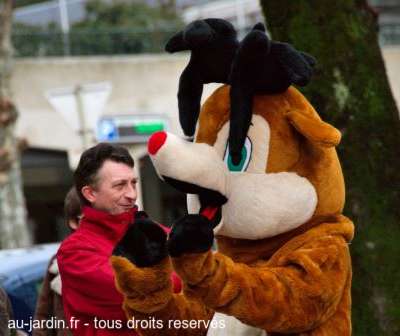 Un renne en plein coeur d'Aix les Bains