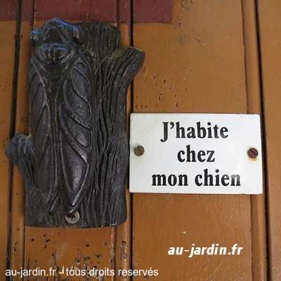 Révélation