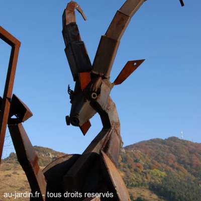 Autre chèvre du col de l'Escrinet