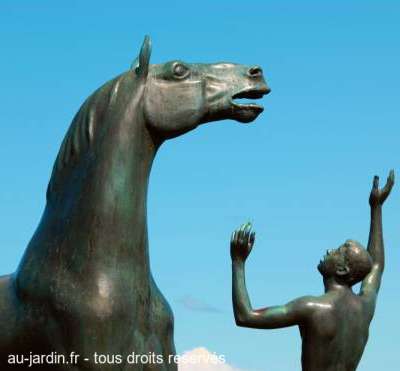 Cheval suisse