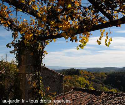 Terrasse d'automne en Ardèche