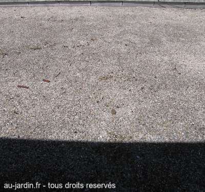 Jolie terrasse parisienne