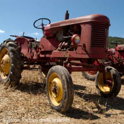 Tracteur Massey-Harris de 1956