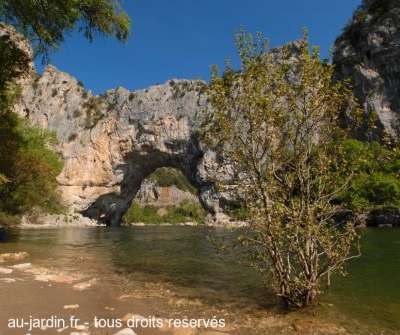 Pont d'Arc à Vallon Pont d'Arc, deuxième reprise.