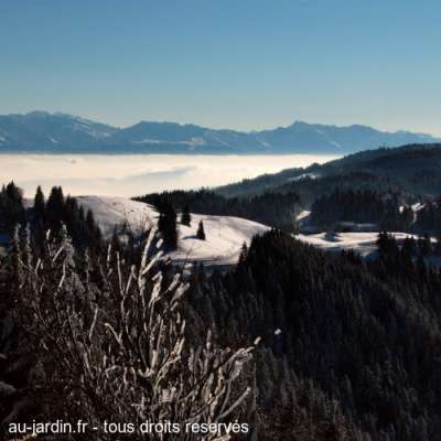 Les bauges, vue du Revard.